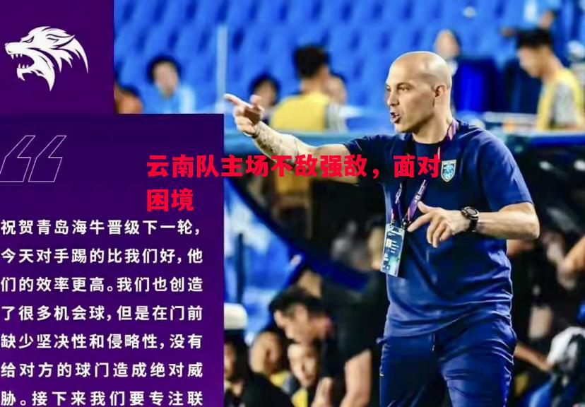 德信app-云南队主场不敌强敌，面对困境