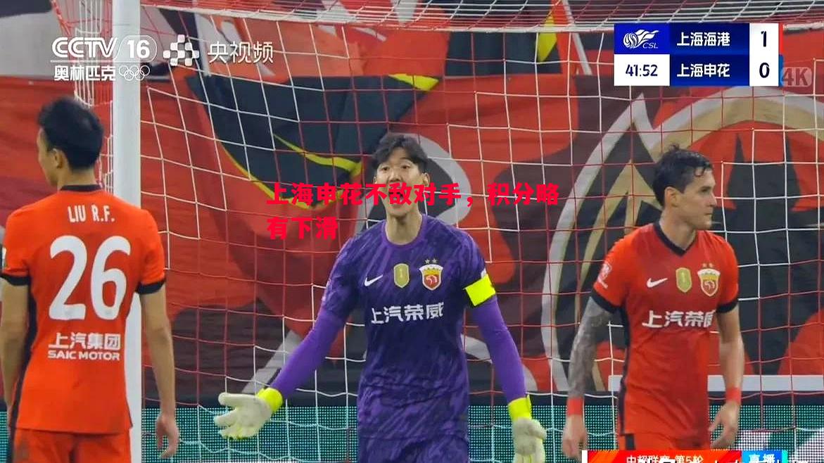 上海申花不敌对手，积分略有下滑