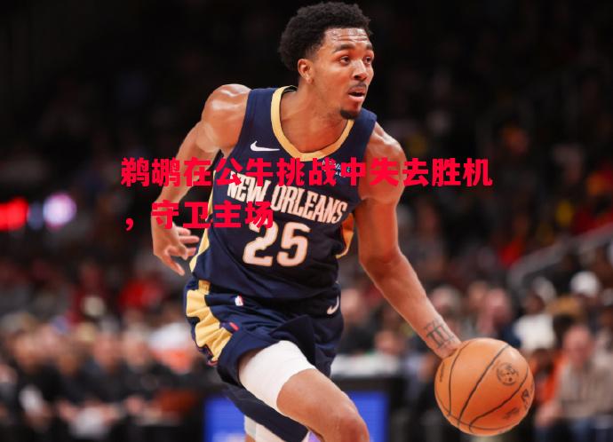 德信官网下载-鹈鹕在公牛挑战中失去胜机，守卫主场