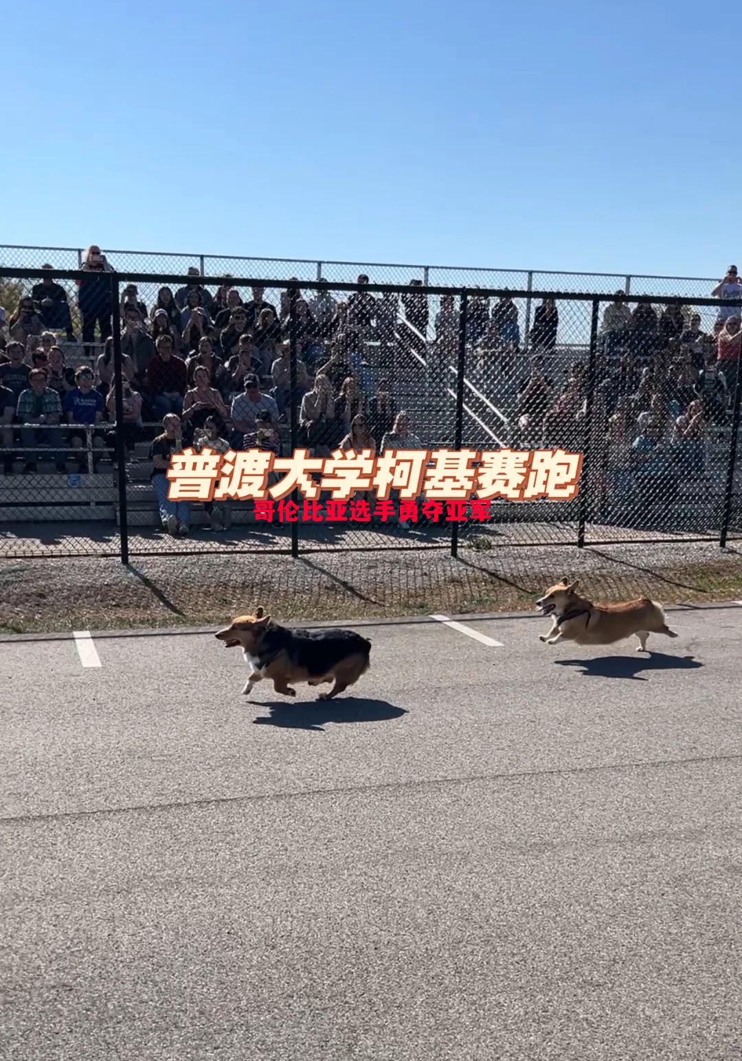 德信app下载-哥伦比亚选手勇夺亚军