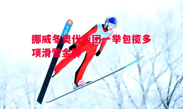 德信体育-挪威冬奥代表团一举包揽多项滑雪金牌