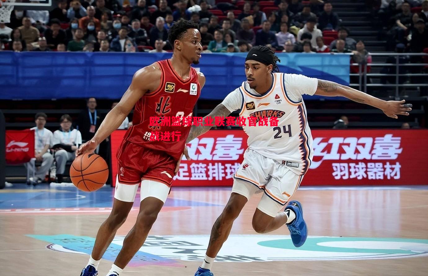 德信体育app下载-欧洲篮球职业联赛收官战备战进行
